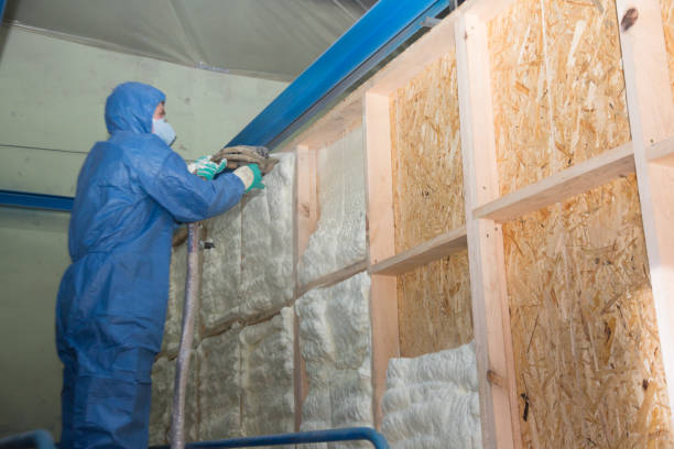 Insulation Replacement Services in Bulverde, TX