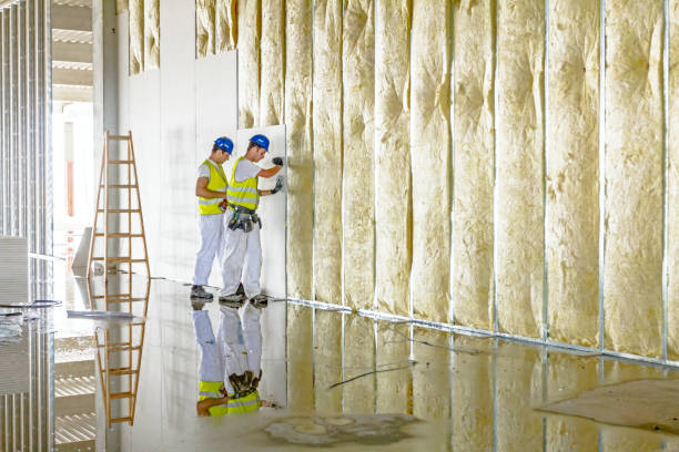 Reliable Bulverde, TX Insulation Contractor Solutions